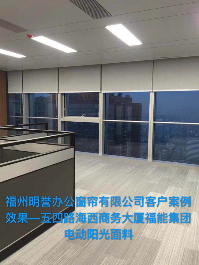 ���ܼ��ŵ綯����