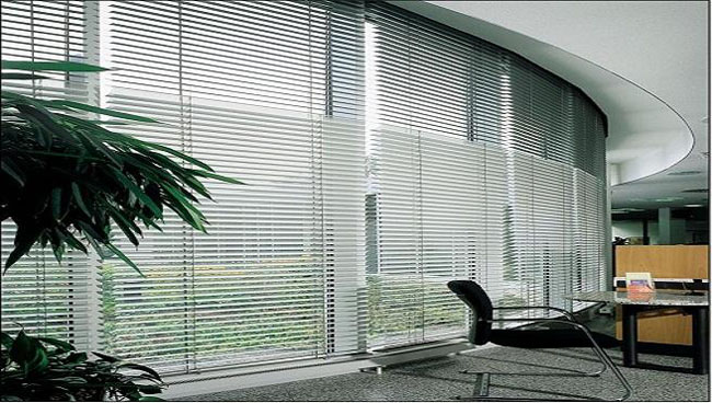 ���������綯��Ҷ������