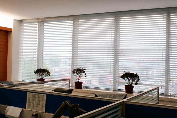 福州办公室百叶窗帘安装效果图 福州办公室百叶窗帘安装效果图